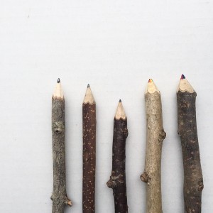 10787964_505364089602706_1744876905_n